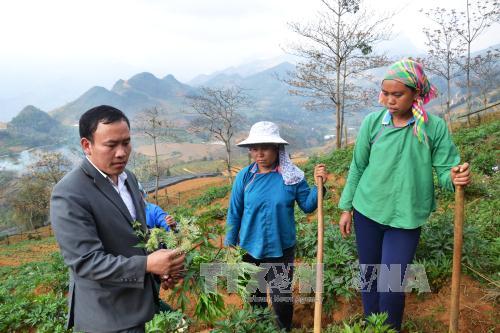Chủ tịch xã người Mông hết lòng vì quê hương
